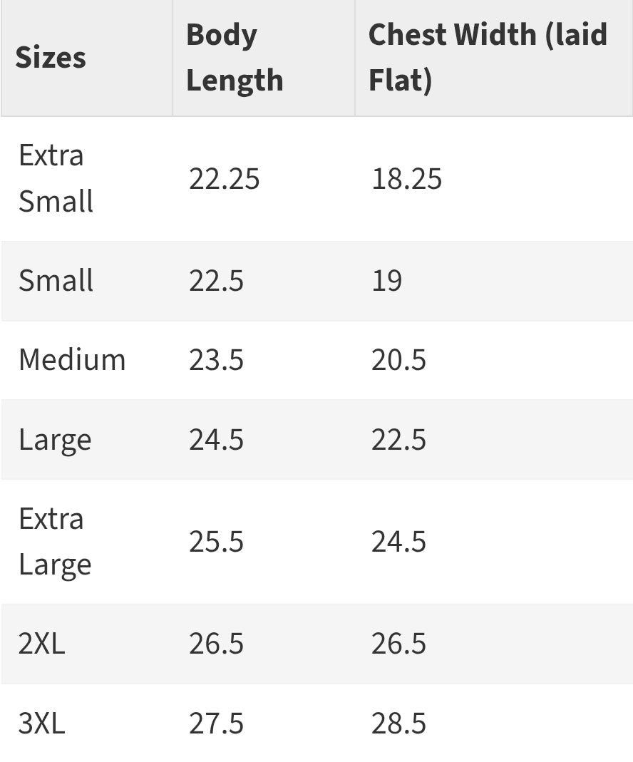 Spiral Con 2027 Women's Heavyweight Garment Dye Tee Bella + Canvas 6110GD