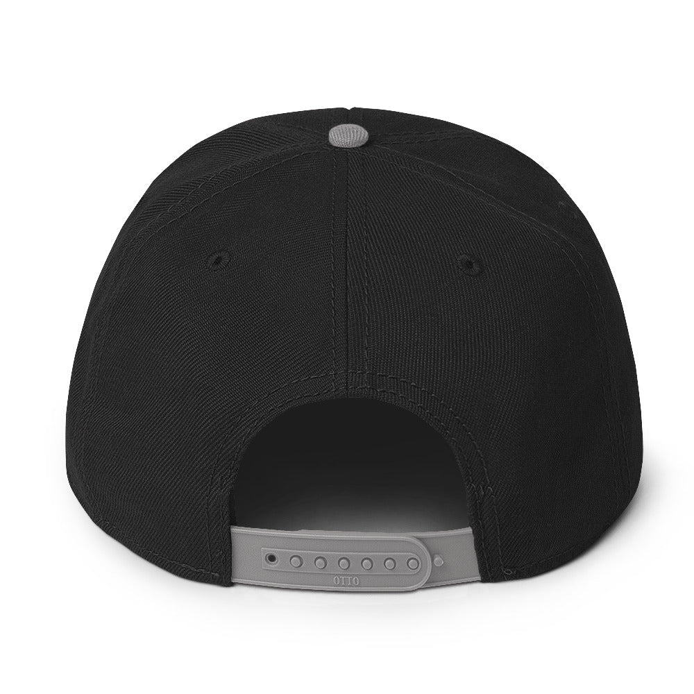 LLY Duramax Snapback Hat black / grey back