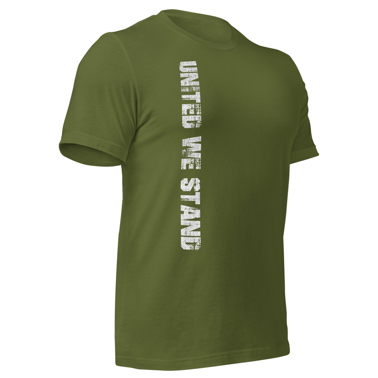 United We Stand Full Color American Flag T-Shirt in green front